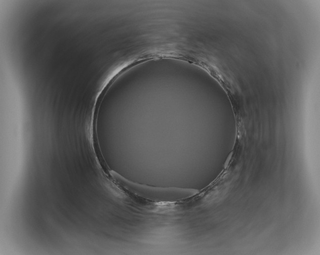 X0000110700052200906191535