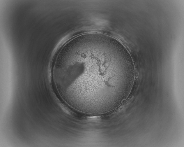 X0000110700053200906191535