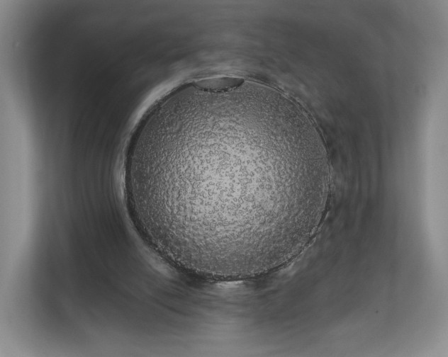 X0000110700054200906191535