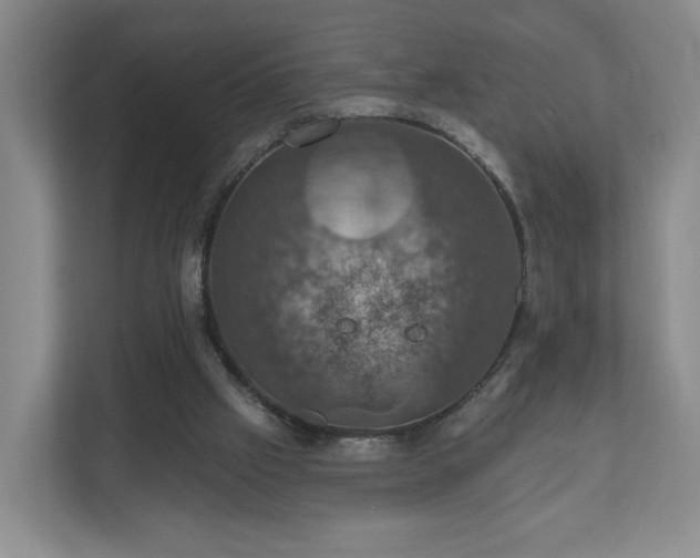 X0000110700057200906191535