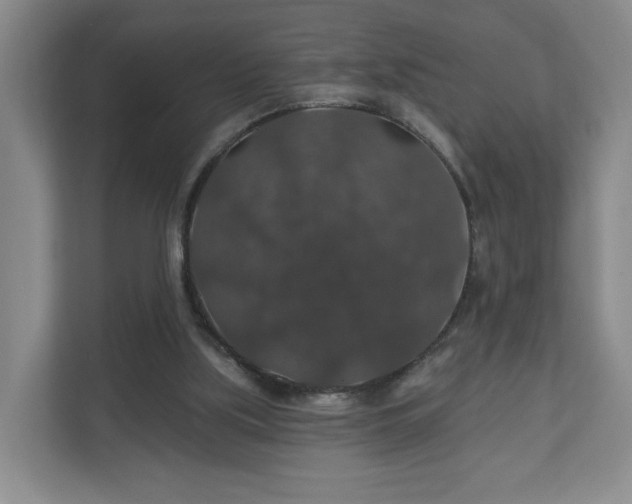 X0000110700059200906191535