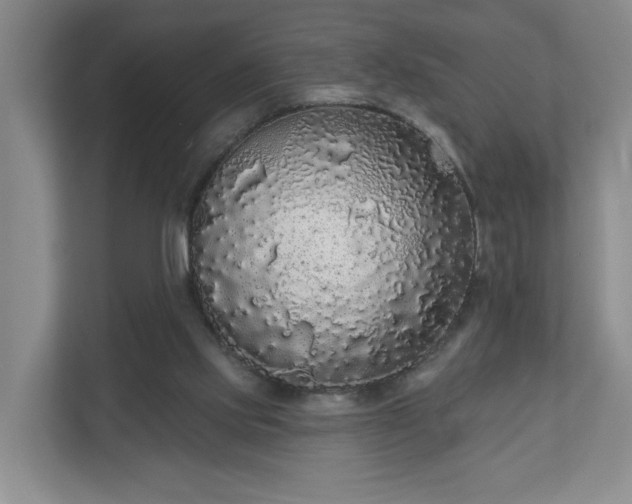 X0000110700061200906191536