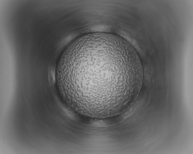 X0000110700062200906191536