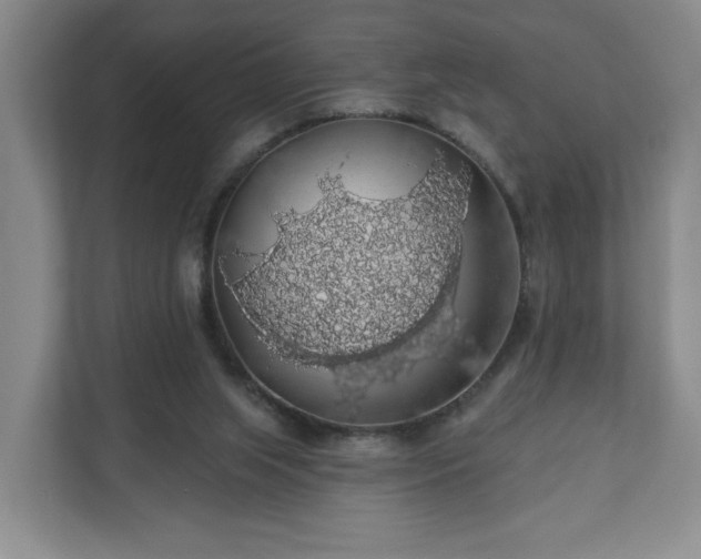 X0000110700063200906191536