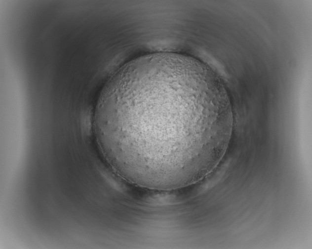 X0000110700065200906191536
