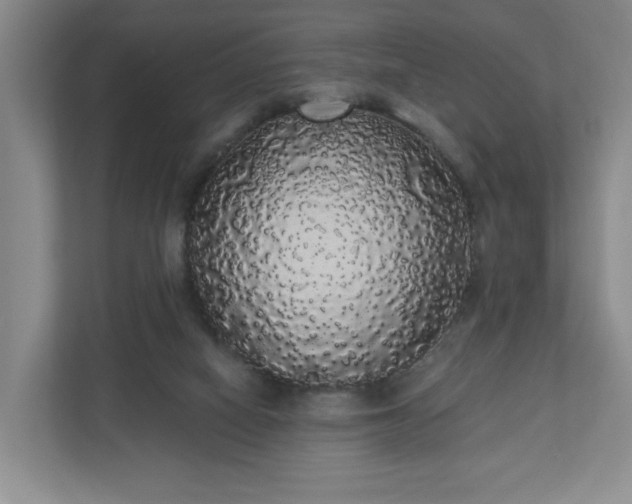 X0000110700066200906191536