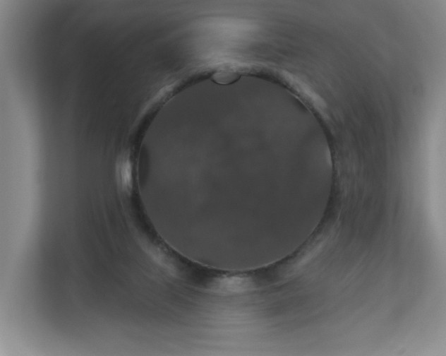 X0000110700067200906191536