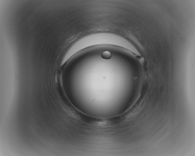 X0000110700068200906191536