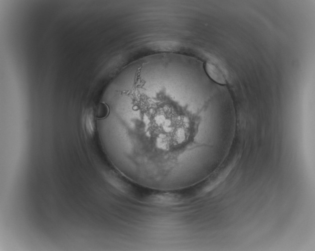 X0000110700069200906191536