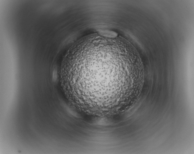 X0000110700074200906191536
