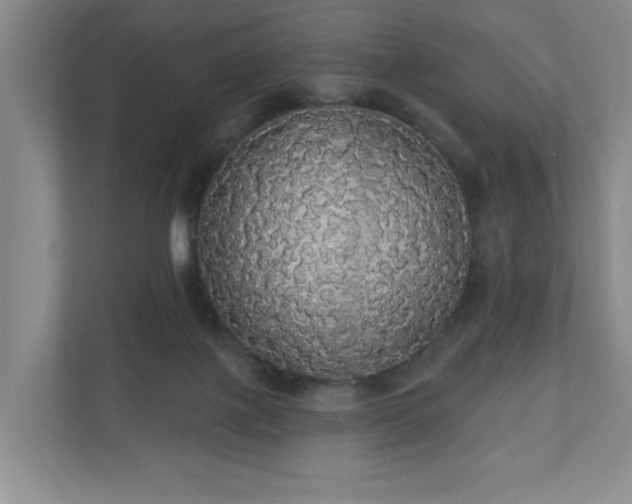 X0000110700075200906191536