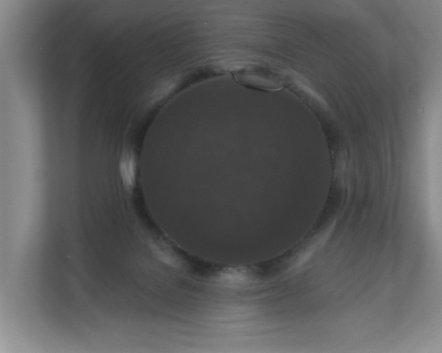 X0000110700076200906191536