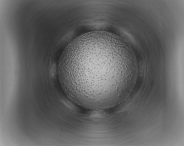 X0000110700077200906191536