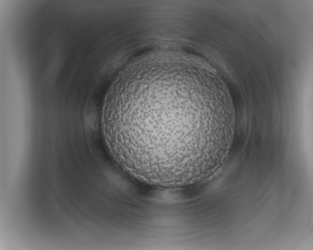 X0000110700078200906191536