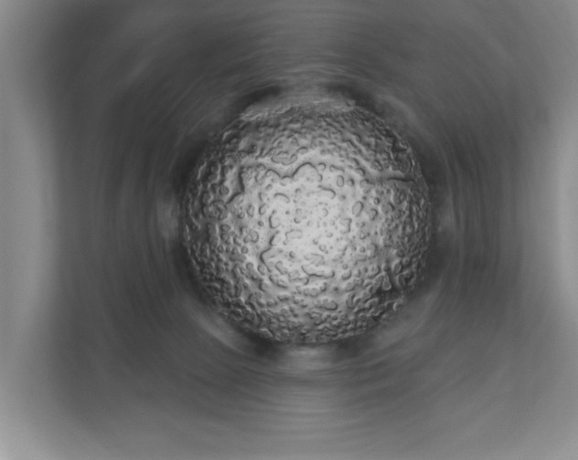 X0000110700081200906191536