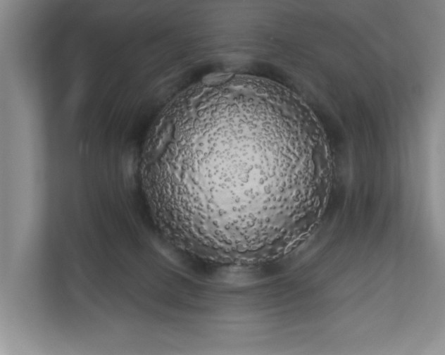 X0000110700082200906191536