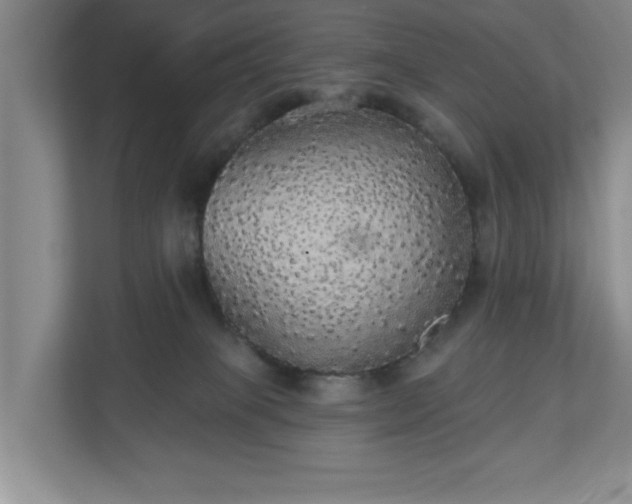 X0000110700085200906191536