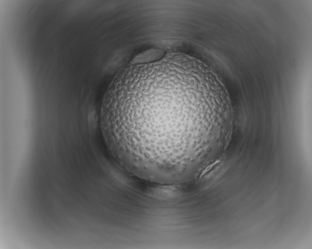 X0000110700086200906191536