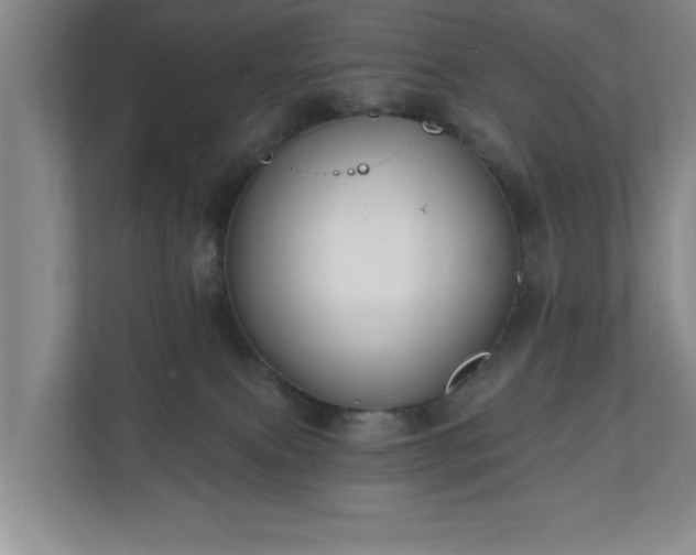 X0000110700087200906191536