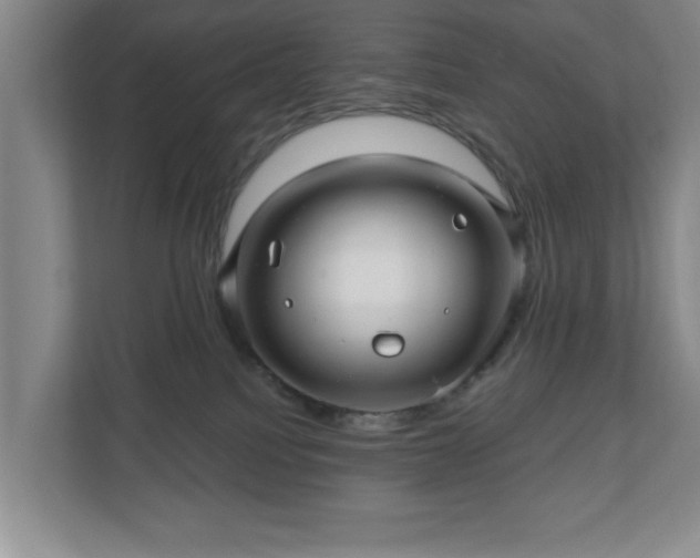 X0000110700088200906191536