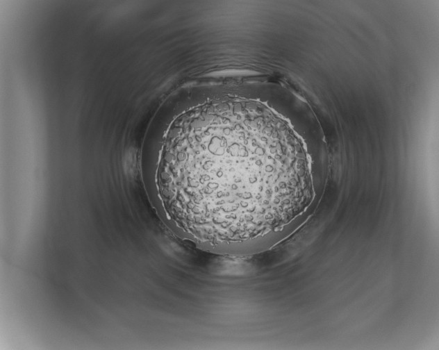 X0000110700093200906191536