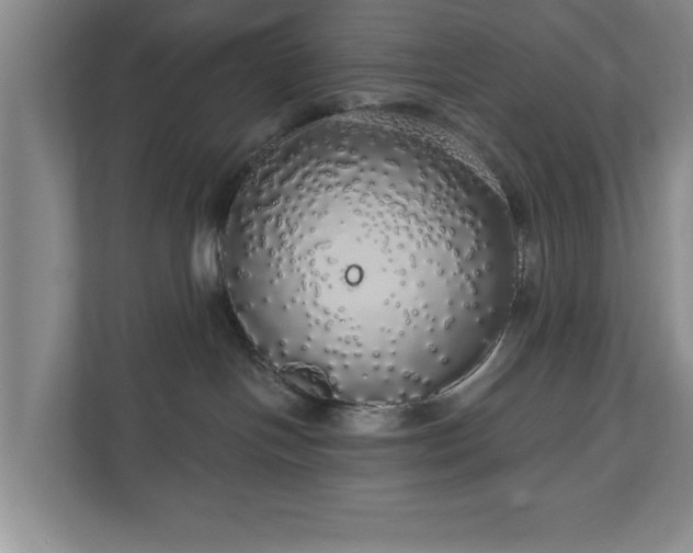 X0000110700094200906191536