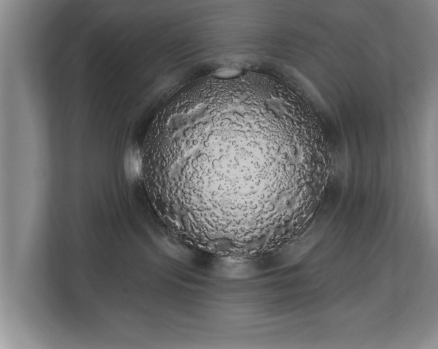 X0000110700095200906191536