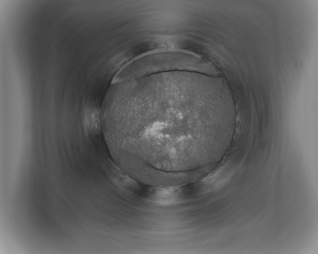X0000110700096200906191536