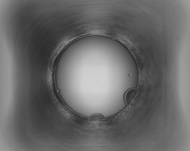 X0000110700098200906191535