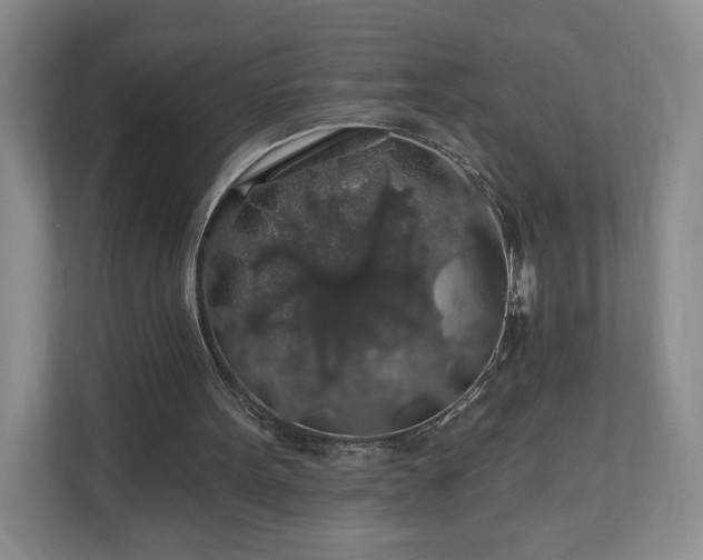X0000110700099200906191535