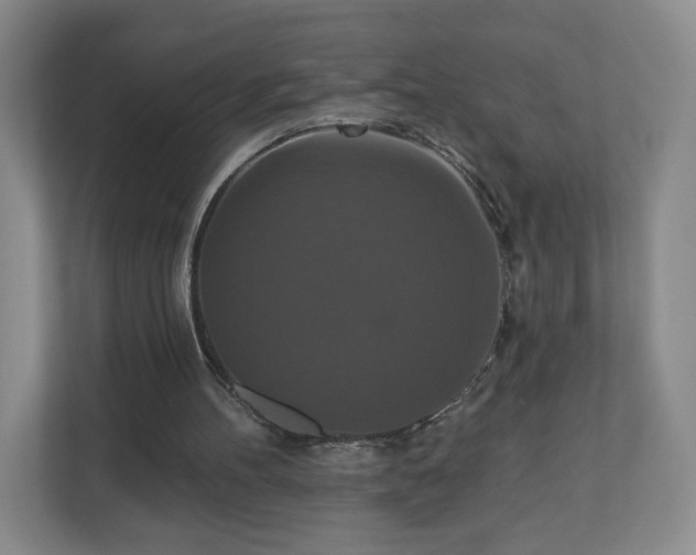 X0000110700100200906191535