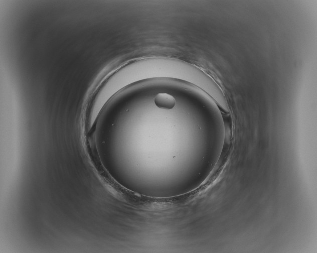 X0000110700101200906191535