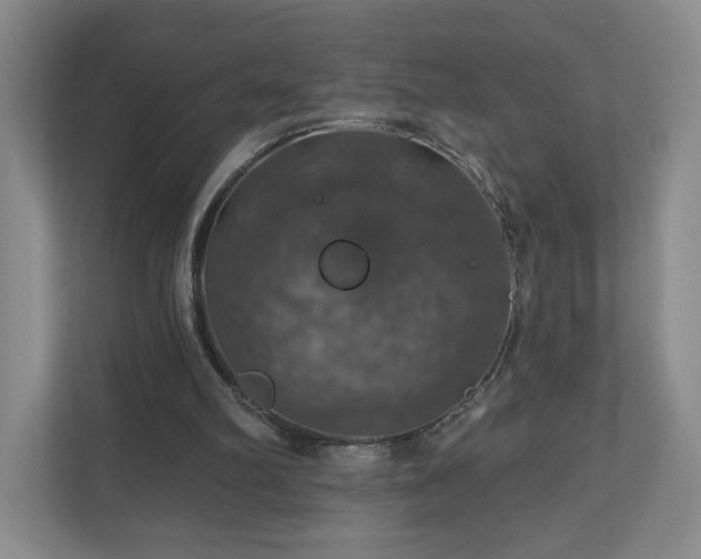 X0000110700102200906191535