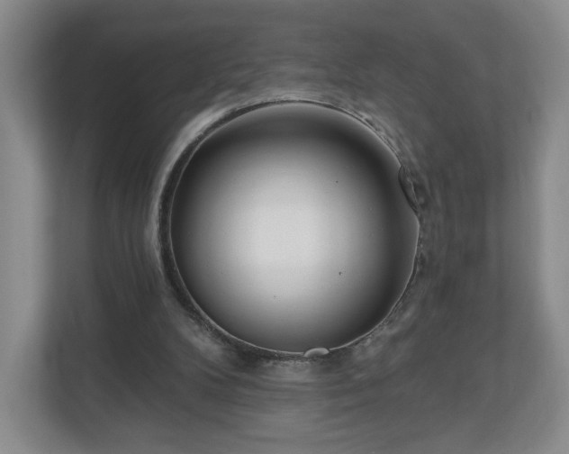 X0000110700104200906191535