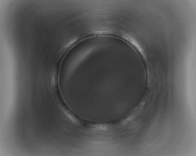 X0000110700105200906191535