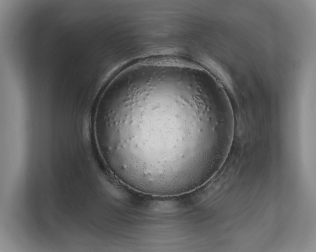 X0000110700107200906191535