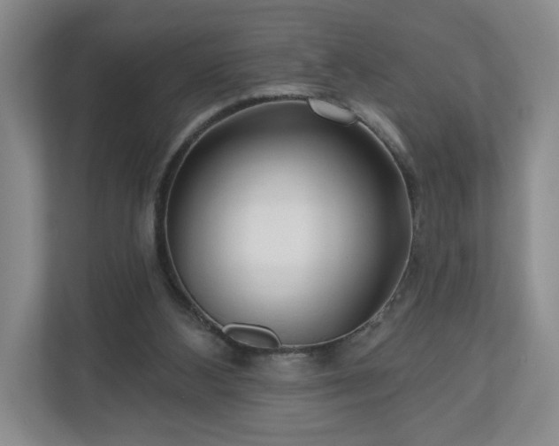 X0000110700108200906191535