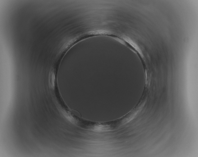 X0000110700109200906191535