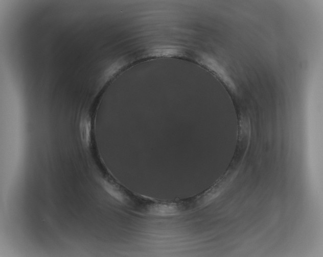 X0000110700110200906191535