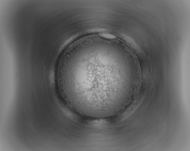 X0000110700112200906191535
