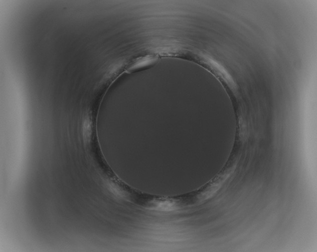 X0000110700113200906191535