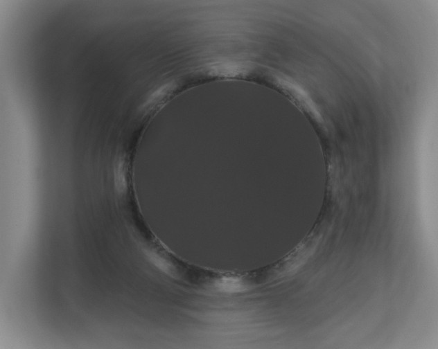X0000110700114200906191535