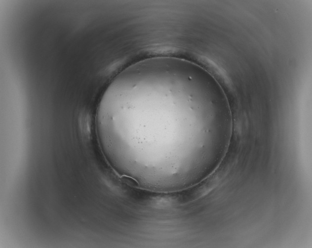 X0000110700115200906191535