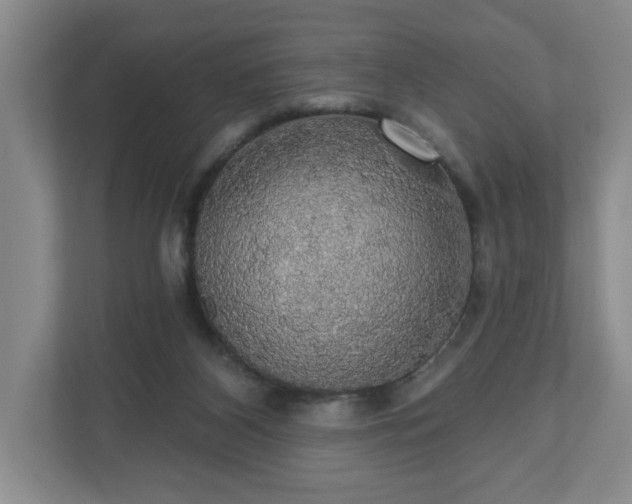 X0000110700116200906191535