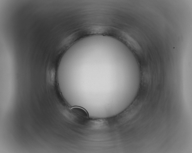 X0000110700118200906191535