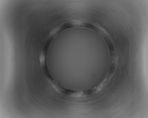 X0000110700124200906191535