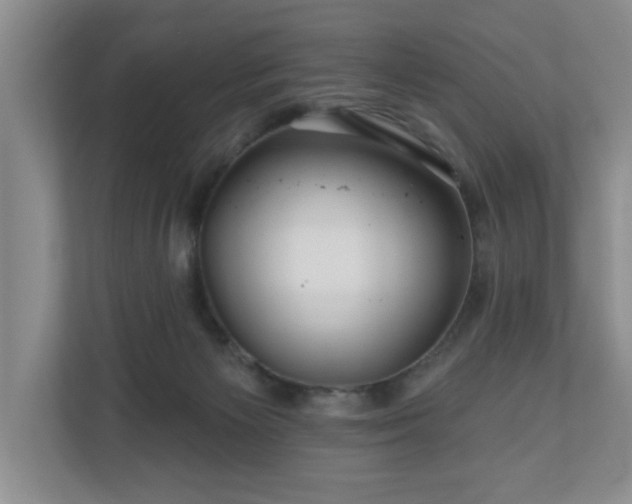 X0000110700125200906191535