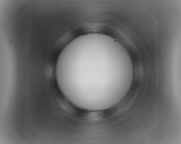 X0000110700126200906191535
