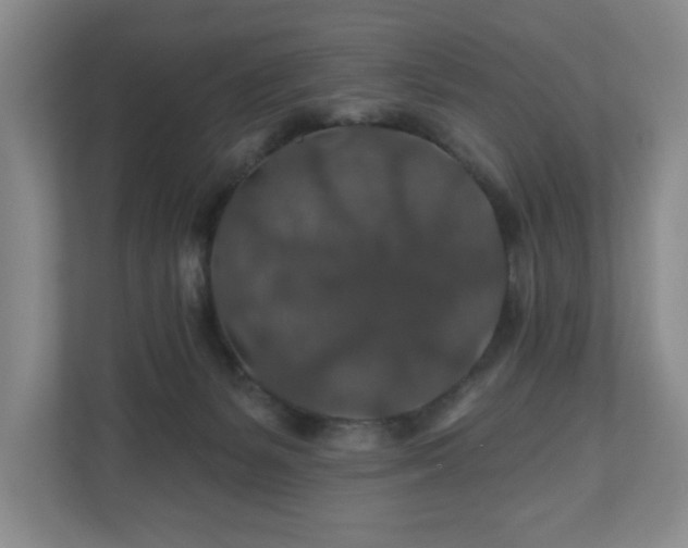 X0000110700127200906191535