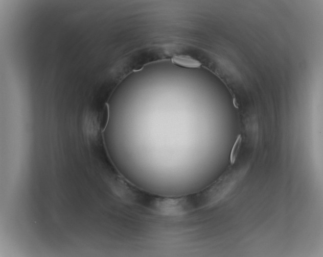 X0000110700129200906191535